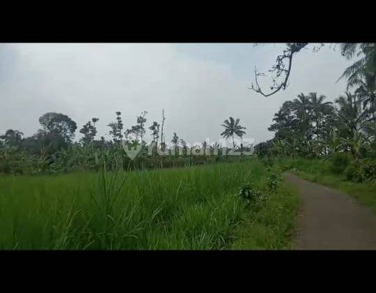 Lokasi di ciambar, Sukabumi, View gunung pangrango,jalan desa udara sejuk 3