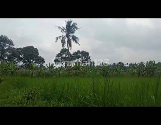 Lokasi di ciambar, Sukabumi, View gunung pangrango,jalan desa udara sejuk 4