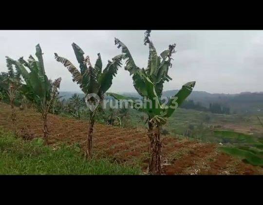 Lokasi di ciambar, Sukabumi, View gunung pangrango,jalan desa udara sejuk 5