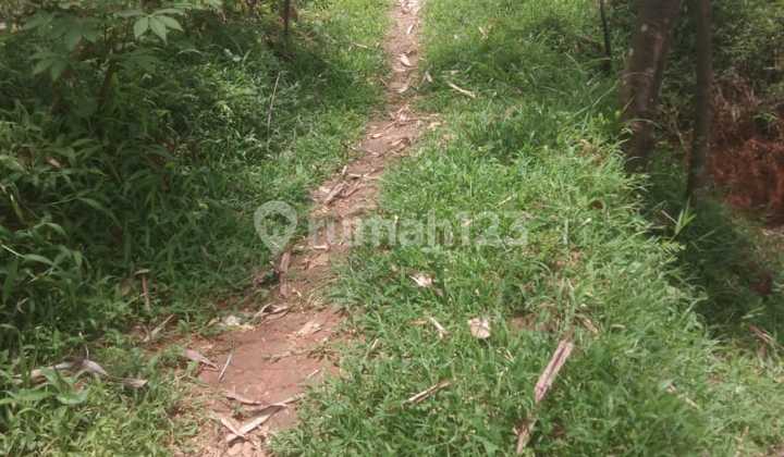 Lokasi Untuk impestasi + juga ber tanam buah buahan + buat peternakan 4