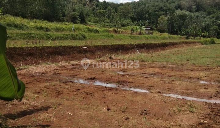 
lokasi murah Subur air lahan basah dan darat Untk pertanian Duren / sayuran 3