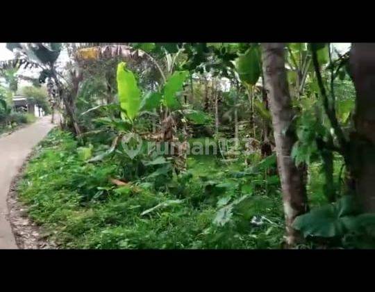 lokasi buat Villa+ rumah tinggal+ juga ternak sejuk 2