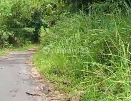 lokasi Kebun jati buat investasi masuk mobil  1