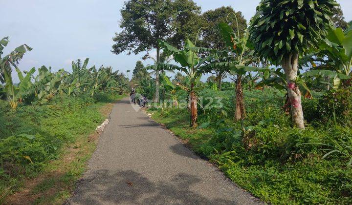 lokasi Buat Investasi + Villa di sukabumi cicurug  1