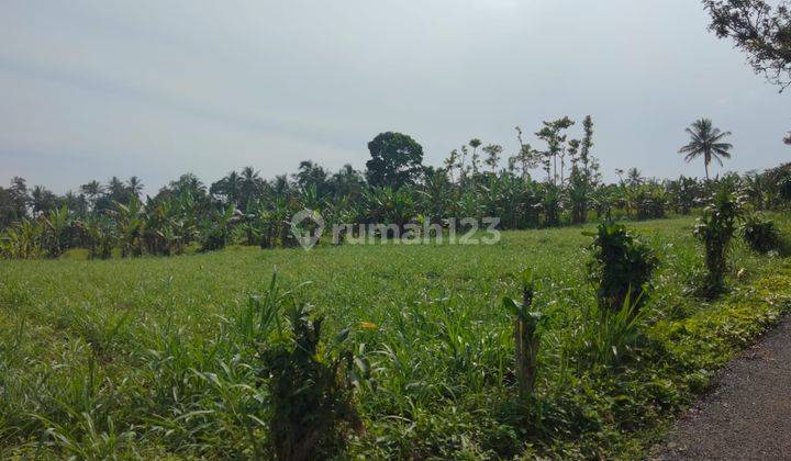 lokasi Buat Investasi + Villa di sukabumi cicurug  2