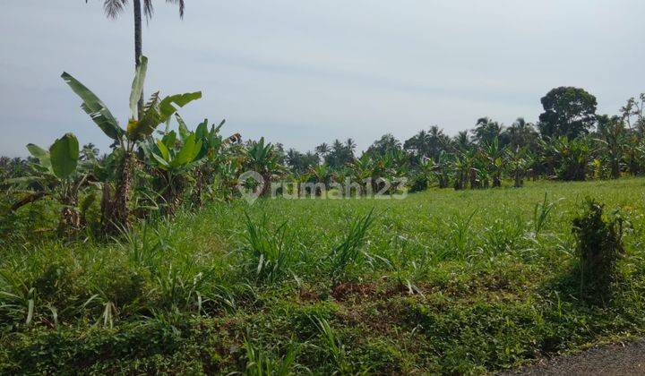 lokasi Buat Investasi + Villa di sukabumi cicurug  3