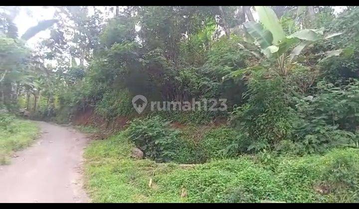 lokasi Buat Villa+ investasi+ yayasan kandang ayam di sukabumi 3