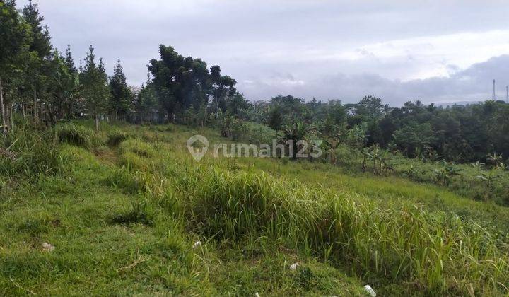 lokasi bUat investasi + yayasan + perkebunan di sukabumi  6