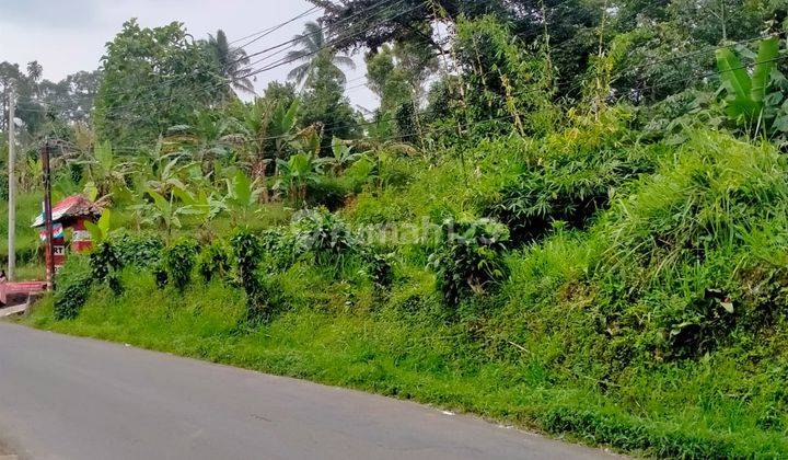 lokasi Buat Cafe +resort+Villa view kota gunung di bogor  3