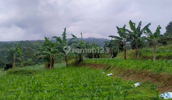 lokasi view cantik Gunung salak+ pangrango kota di bogor 2