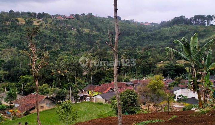 lokasi Buat Villa+investasi MDPL 650 view gunung salak di bogor  2