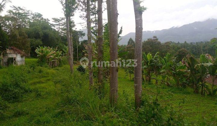 lokasi Buat Villa+peternakan + yayasan di sukabumi pakuon 4