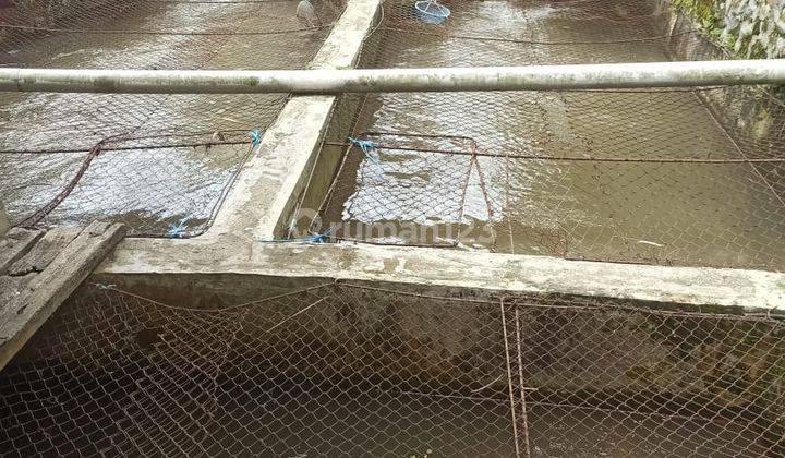 lokasi +Villa+Kolam ikan+ MDPL 500 di bogor 5
