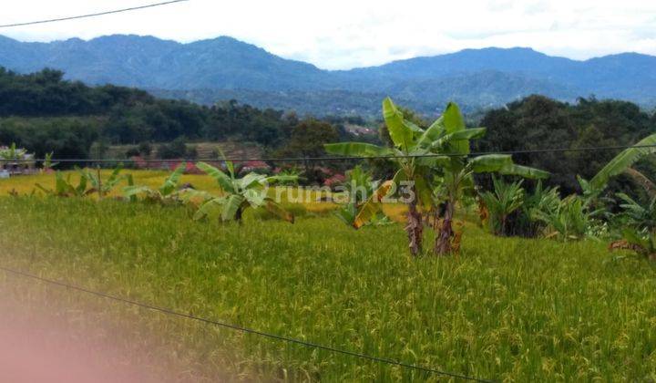 lokasi dekat wisata Bukit tubing pamjihan bogor  3
