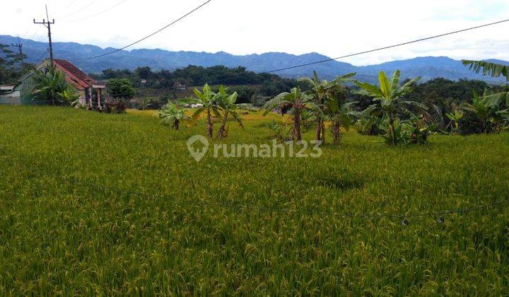 lokasi dekat wisata Bukit tubing pamjihan bogor  4