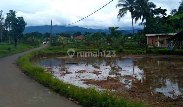 lokasi Buat wisata+yayasan di pamjihan bogor  2