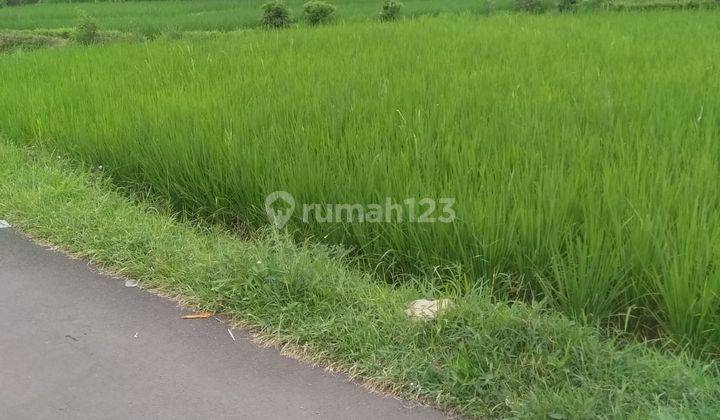 lokasi Buat wisata+yayasan di pamjihan bogor  4