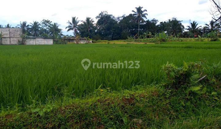 lokasi Buat wisata+yayasan di pamjihan bogor  5