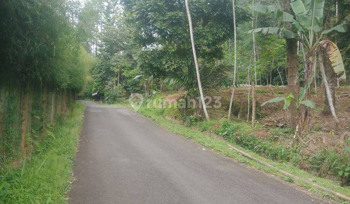 lokasi Buat Villa+Kolam ikan di pancawati caringin bogor 1