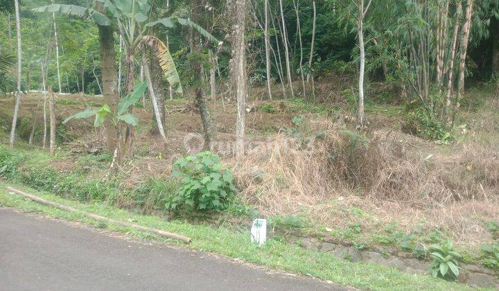 lokasi Buat Villa+Kolam ikan di pancawati caringin bogor 2