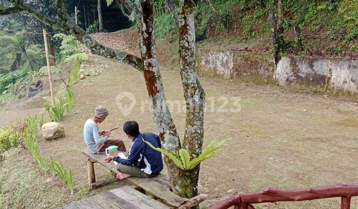 lokasi View kota +Gunung MDPL900 di mega mendung bogor  4
