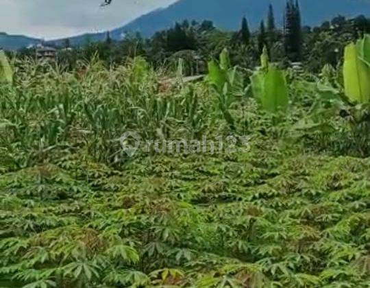 lokasi View Gunung gede MDPL 850 di mega mendung puncak bogor 2