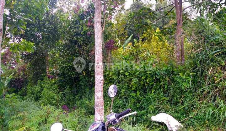lokasi Buat Villa+ resort + investasi di bogor selatan 3