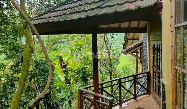 lokasi+Vila sejuk d bogor cijeruk sukaharja 3