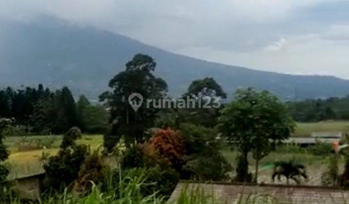 lokasi Buat Villa+rumah tinggal view Gunung salak bogor dingin 2