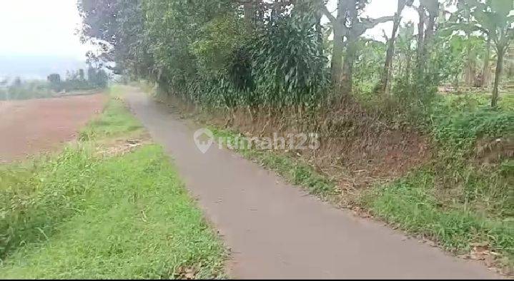 lokasi Buat investasi+pertanian yayasan d ciambar sukabumi  1