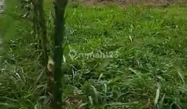 lokasi Buat resort + Villa view kota sejuk d cijeruk bogor 7