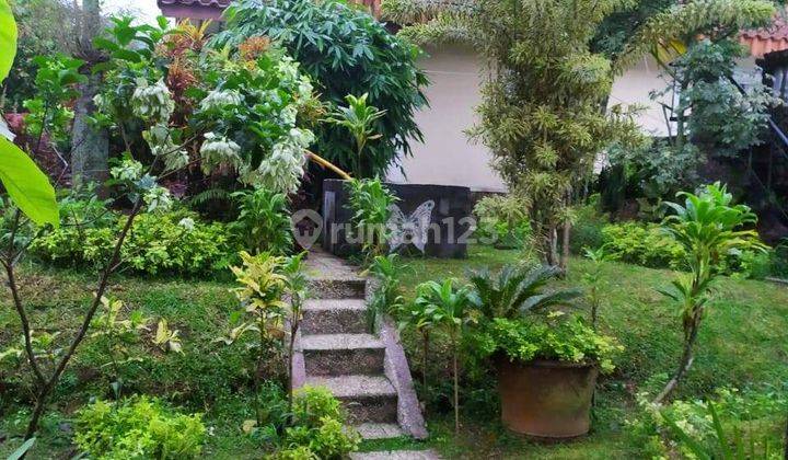 lokasi+villa+ bunga 2 + buah buahan sejuk view gunung di bogor 5