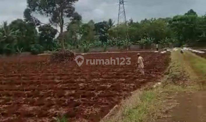 Lokasi bagus untuk villa + perkebunan + investasi di sukabumi 1