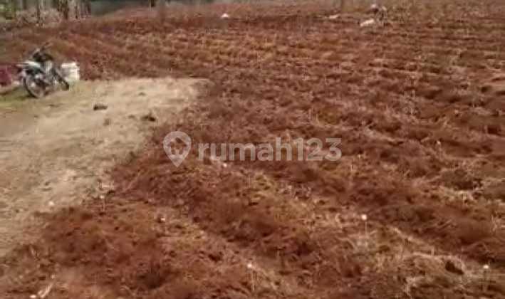 Lokasi bagus untuk villa + perkebunan + investasi di sukabumi 4
