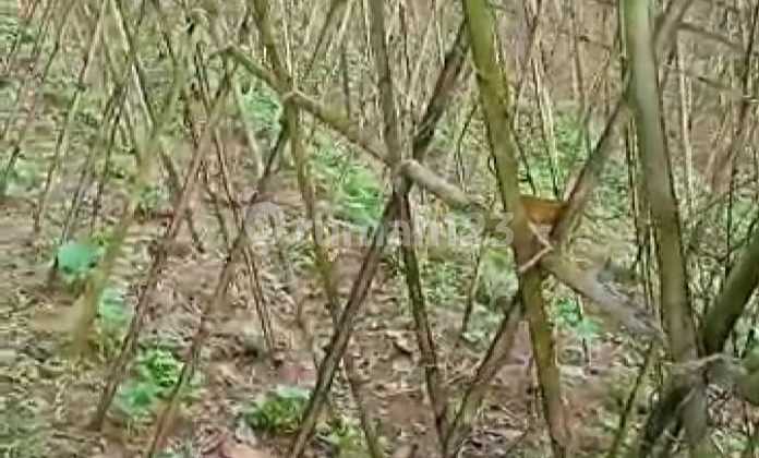 Lokasi Tanah kosong strategis untuk Villa Resort dll di tenjolaya 1