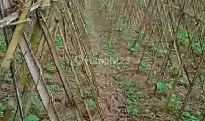 Lokasi Tanah kosong strategis untuk Villa Resort dll di tenjolaya 2