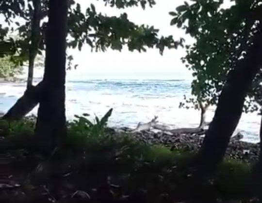 Lokasi Buat wisata / resort di pantai loji giopak pelabuan ratu  1