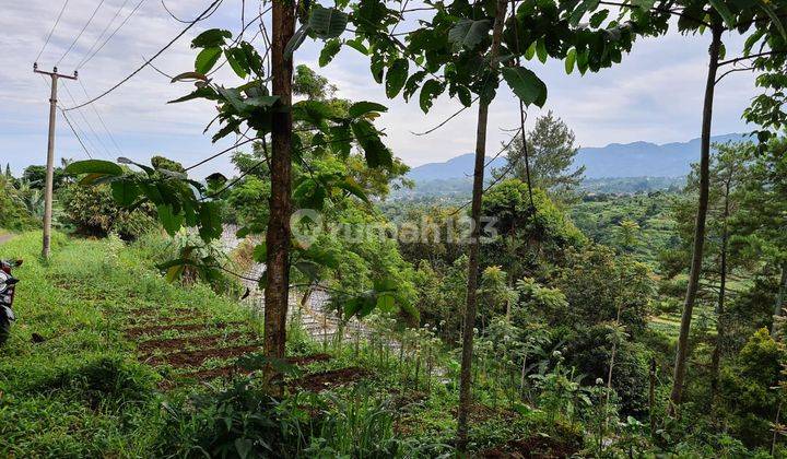 Lokasi Buat resort / Villa di mega mendung puncak bogor 2