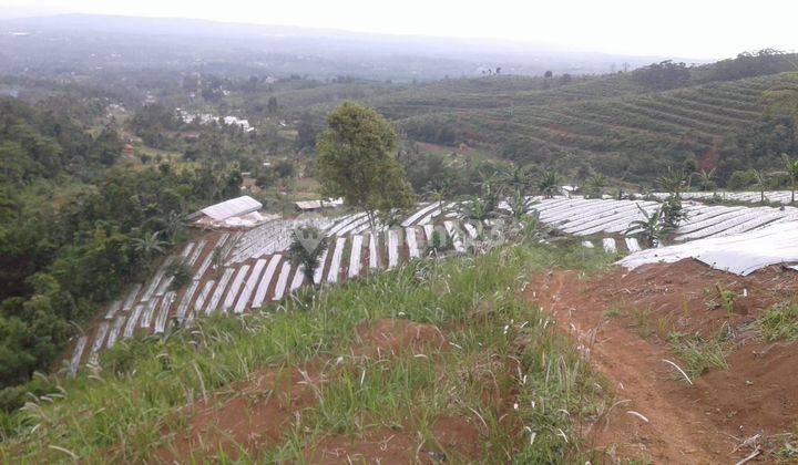 Lokasi Sejuk MDPL 900 View kota sukabumi  1