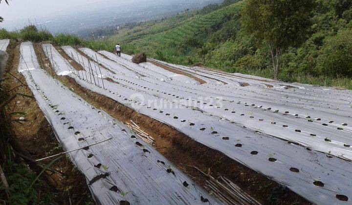 Lokasi Sejuk MDPL 900 View kota sukabumi  2