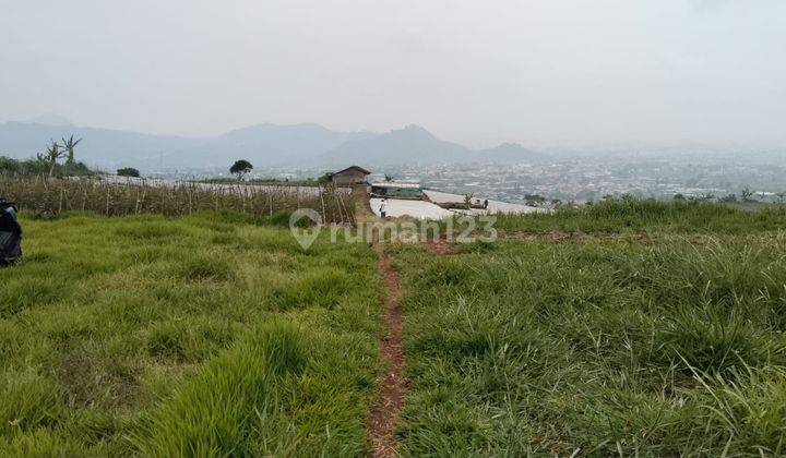 lokasi MDPL 900 buat gren house Stowbery + Villa di kota bunga cianjur ciwalen  1