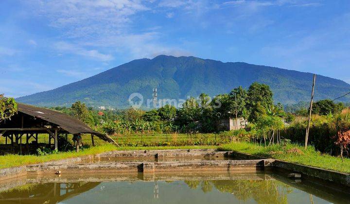 lokasi View Gunung + villa+ kolam ikan di cigombong bogor selatan  1