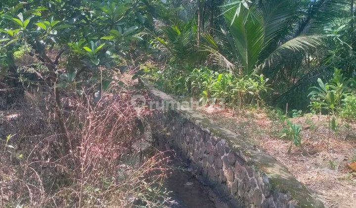 Sentul city Jual lahan buat rumah tinggal& kolam ikan d bogor sentul city 2