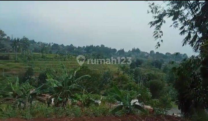 Puncak Bogor jual loksi murah View Gunung dingin buat Investasi  2