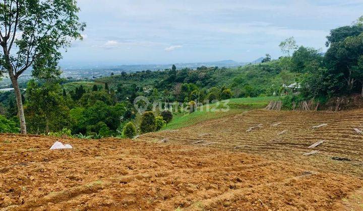 Lokasi Buat Villa pendopo & resort MDPL 900 view lepas kota bogor gunung salak 2