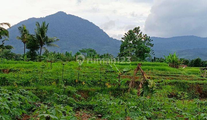 Sukabumi parakan salak Jual lahan View Cantik Buat resort  1