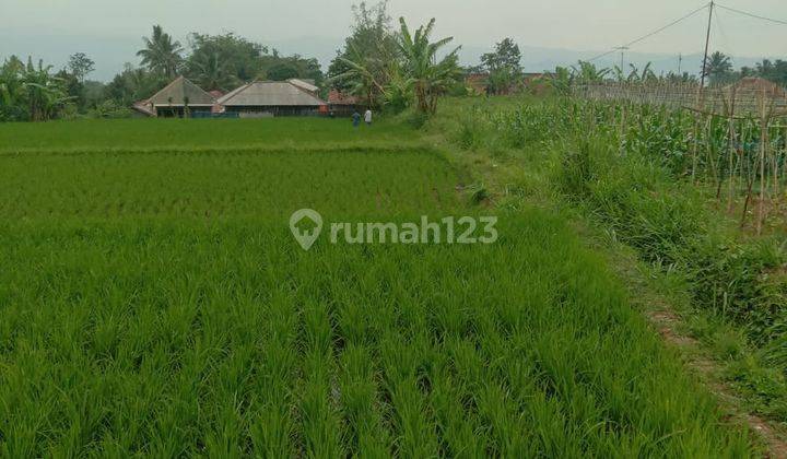 sawah produktif Buat yayasan/Investasi & villa d sukaraja sukabumi  2