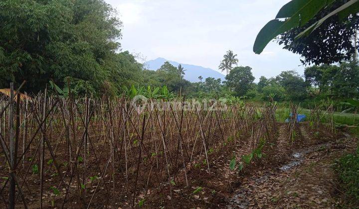 Lokasi buat ternak & kolam ikan di cijeruk bogor selatan  2