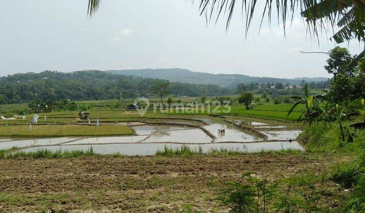 Lokasi Buat yayasan & Kaplingan kebun buah2 view gunung air subur  1