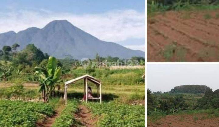 Tanah di bogor View Gunung salak MDPL 800  2